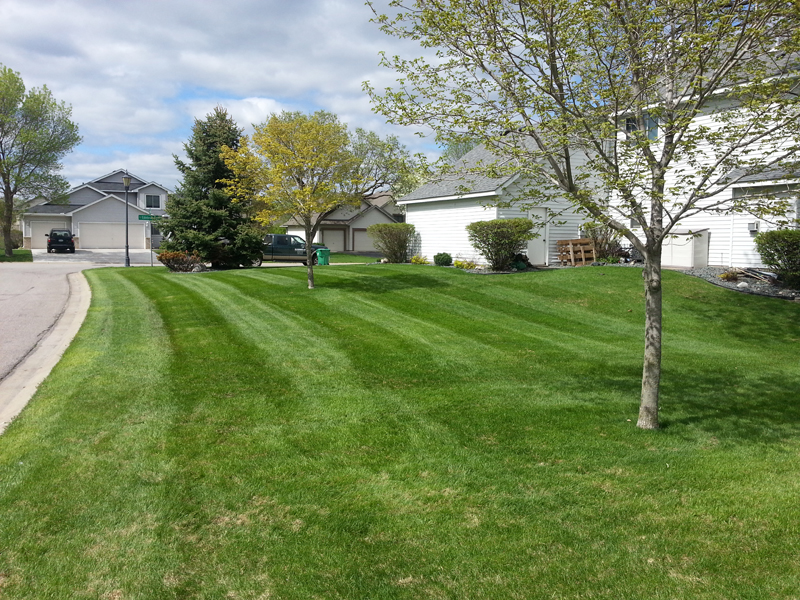 Lawn care | Lawn service | CB Services | Maple Grove, Minnesota